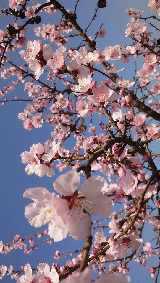 Why spring is the perfect time to start something new - GirlGottaChange
