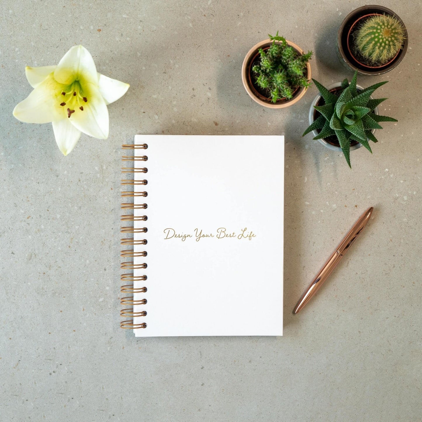 DAMAGED stock- 'Design Your Best Life' Undated Daily Planner - GirlGottaChange